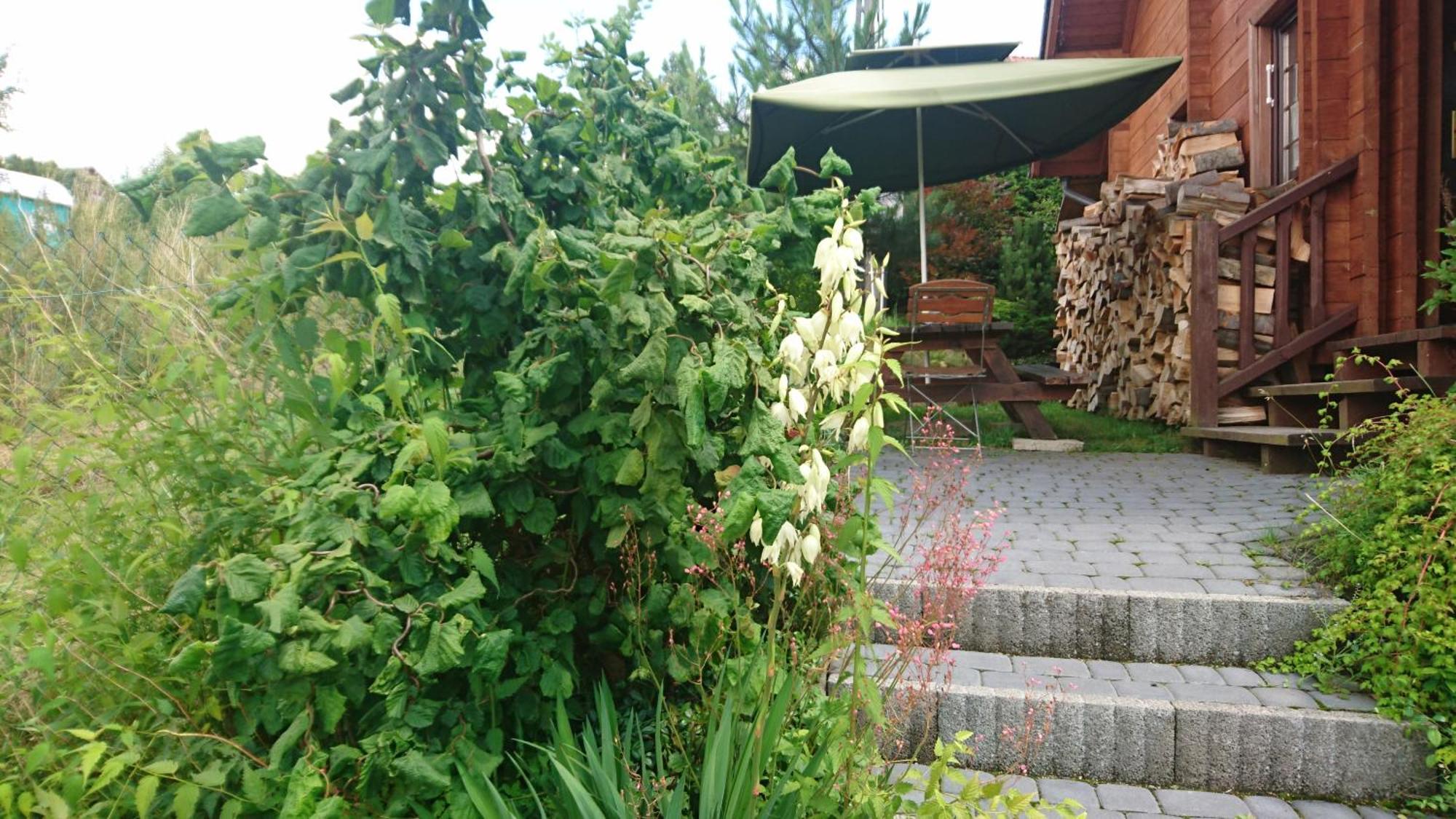 Chatki Qdlatki Kluszkowce Esterno foto